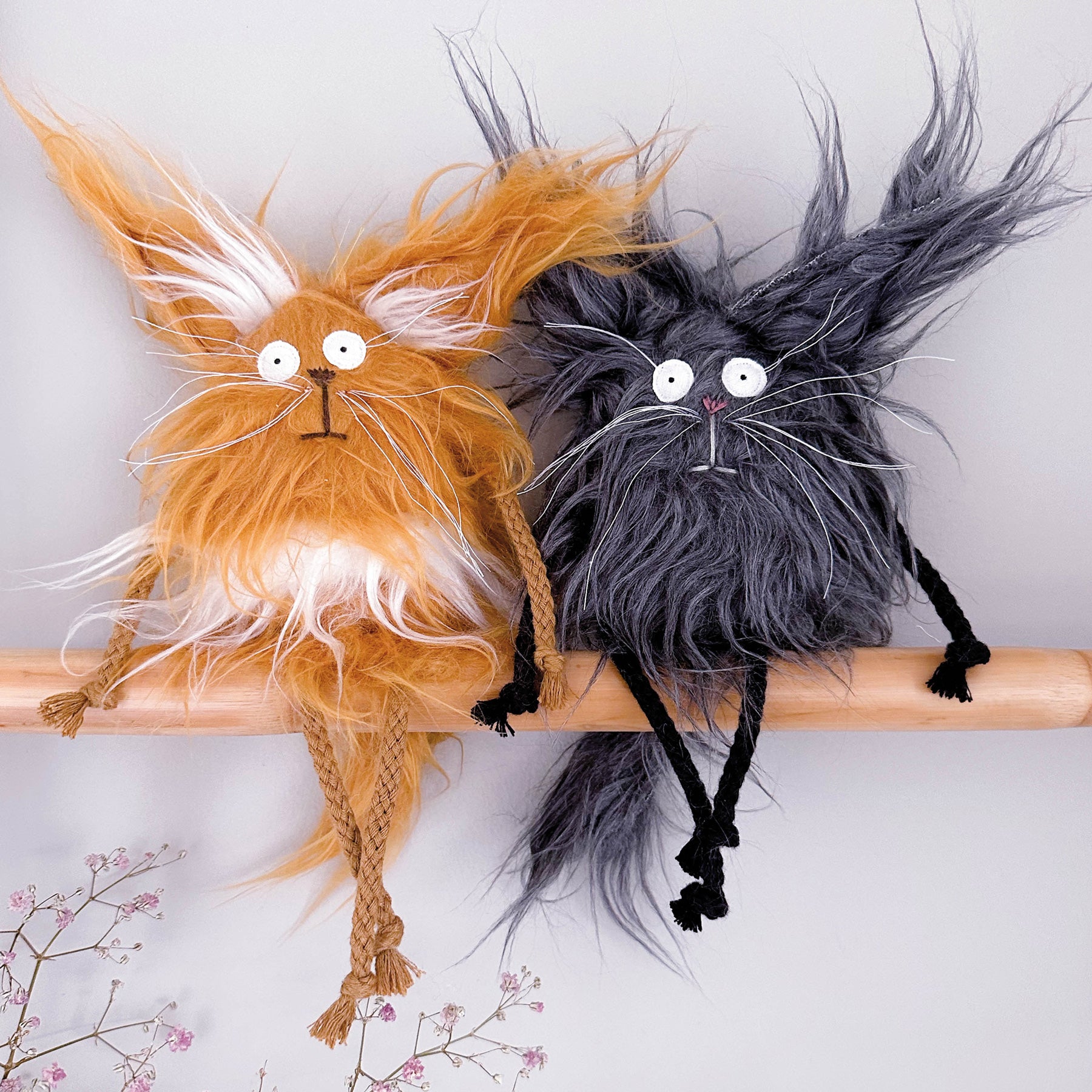Cats