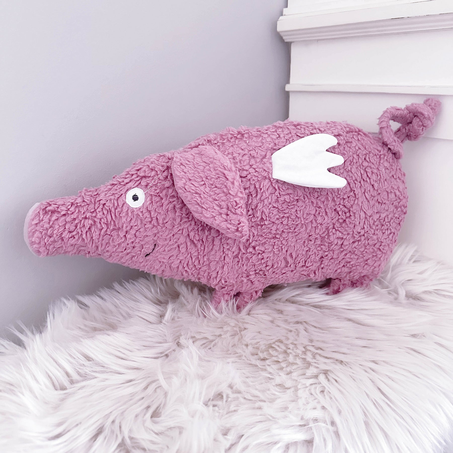 piggy