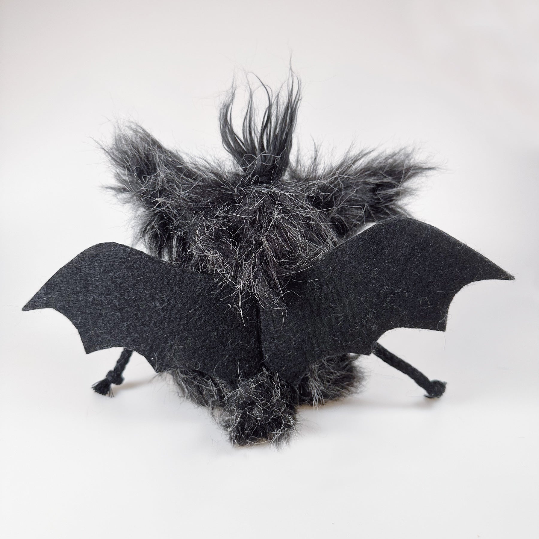 Fledermaus „Friedrich von Flatterstein“