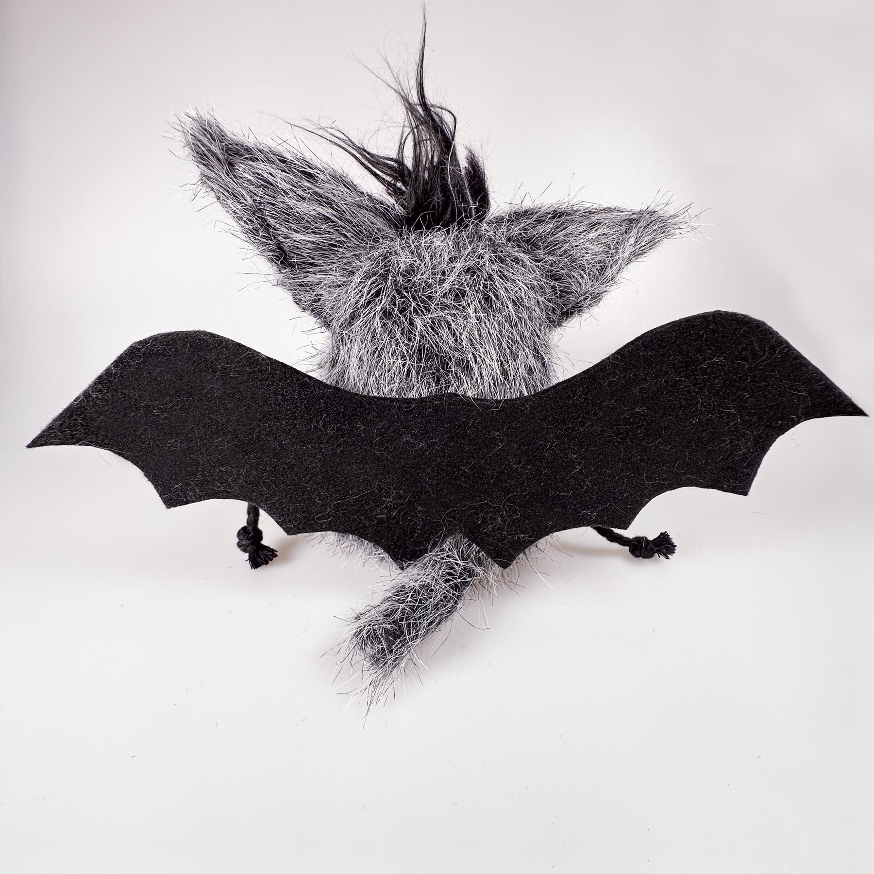 Fledermaus „Herbert“