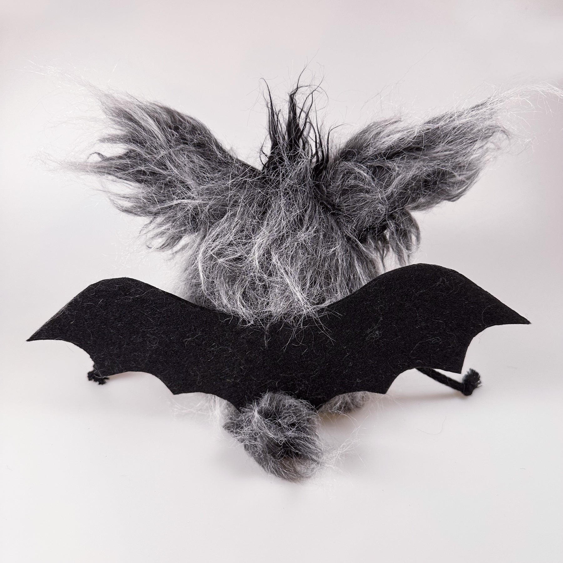 Fledermaus „Igor von Flatterstein“