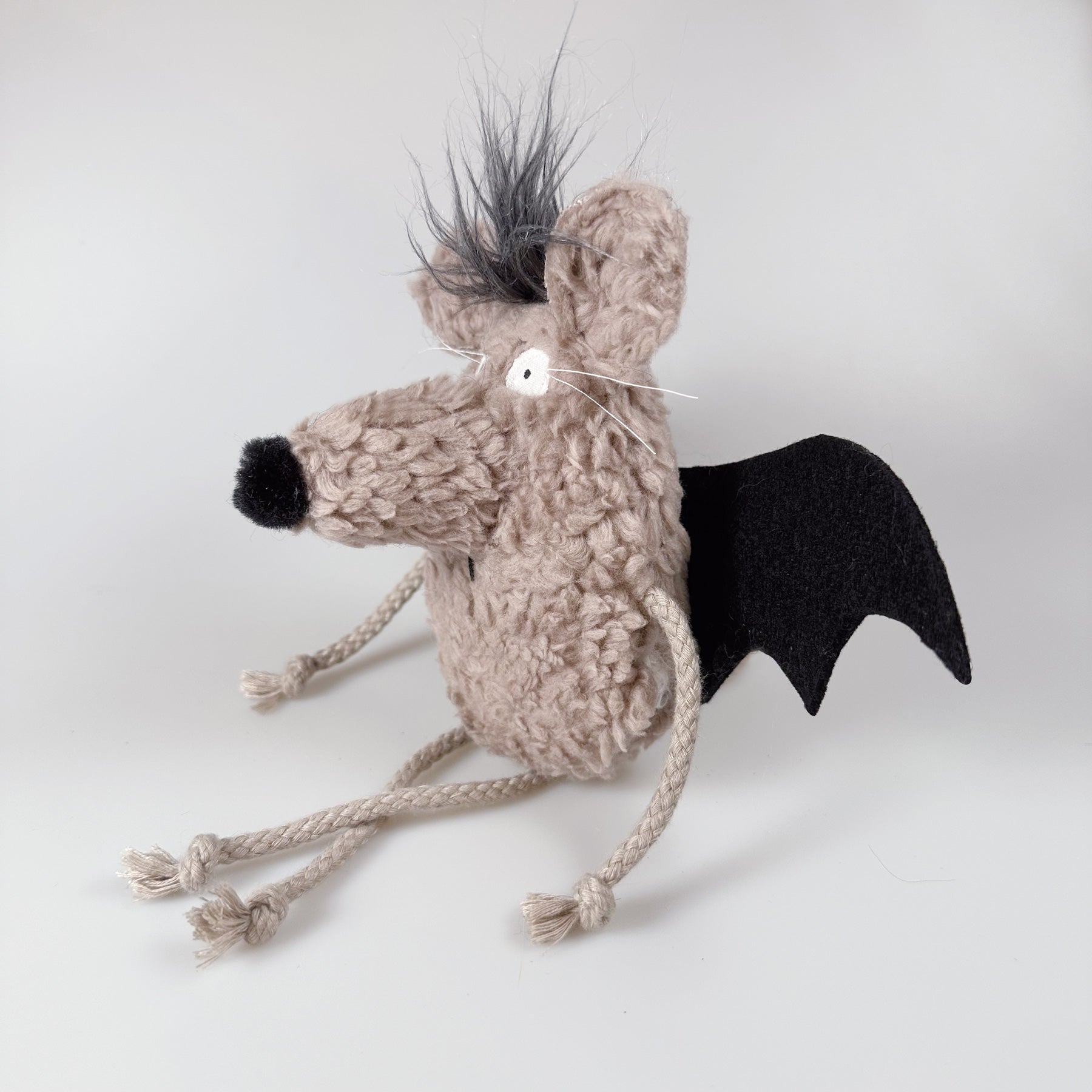 Fledermaus „Rüdiger“