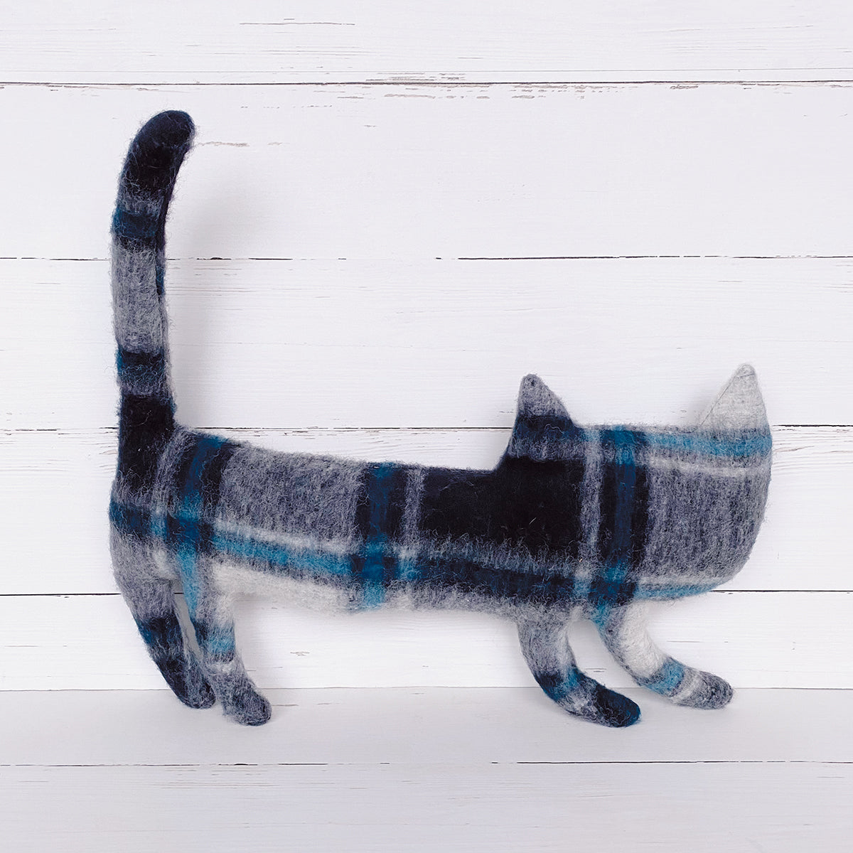 Kater „Mr. Winterbottom“