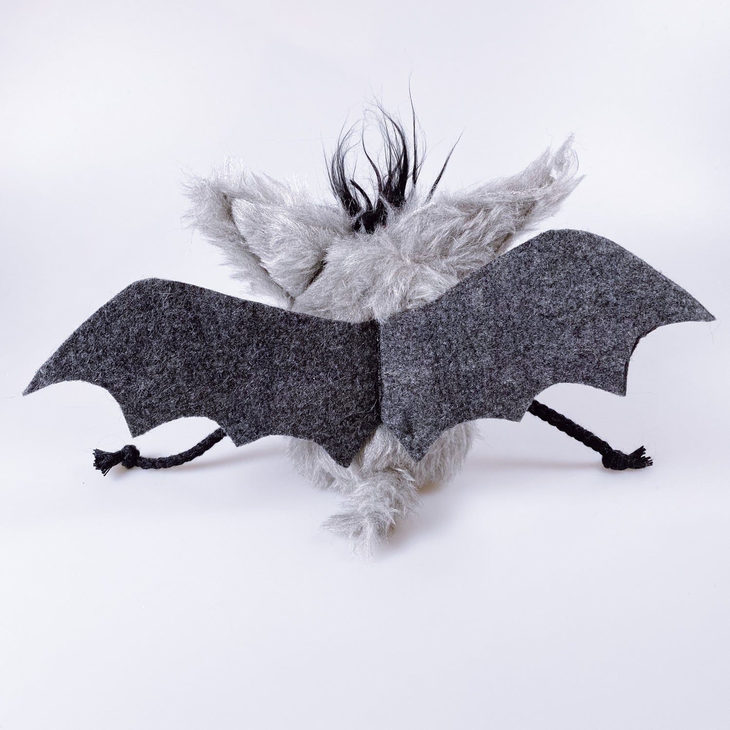 Fledermaus „Elrond“