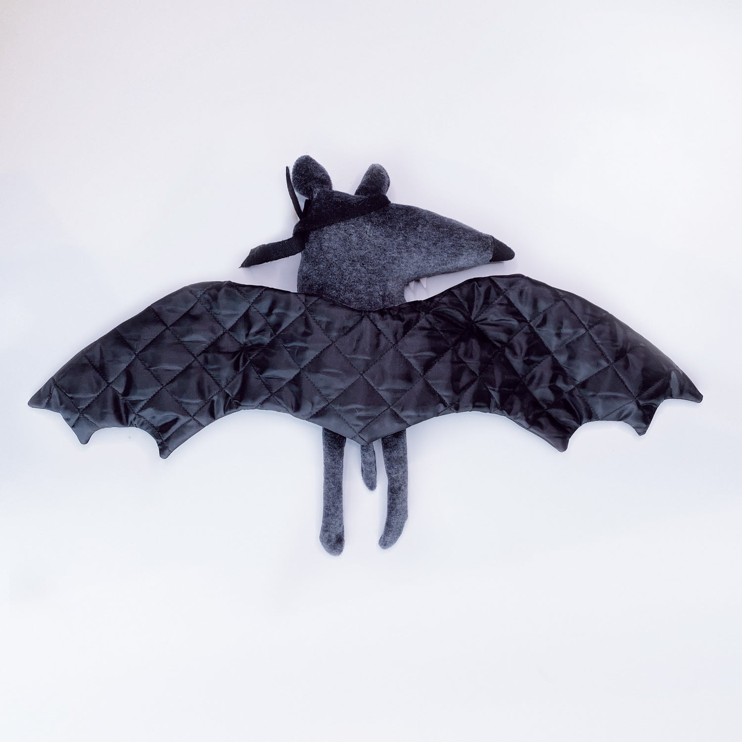 Fledermaus „Gustav“