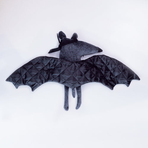 Fledermaus „Gustav“