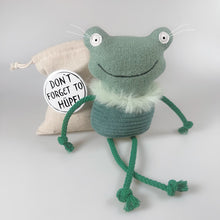 Laden Sie das Bild in den Galerie-Viewer, Geschenk für Froschliebhaber: Kuscheltier Frosch im Sack „Titus“