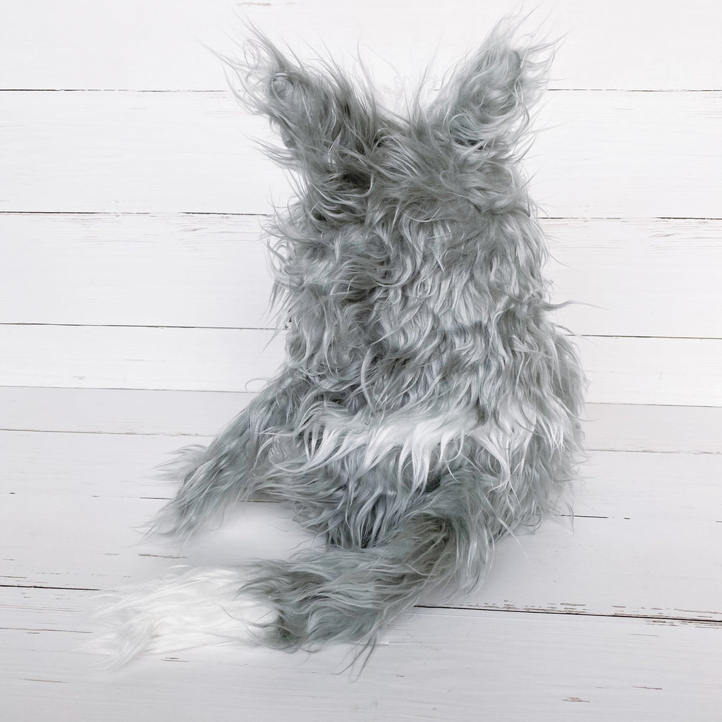 Maine Coon cat “Thies”