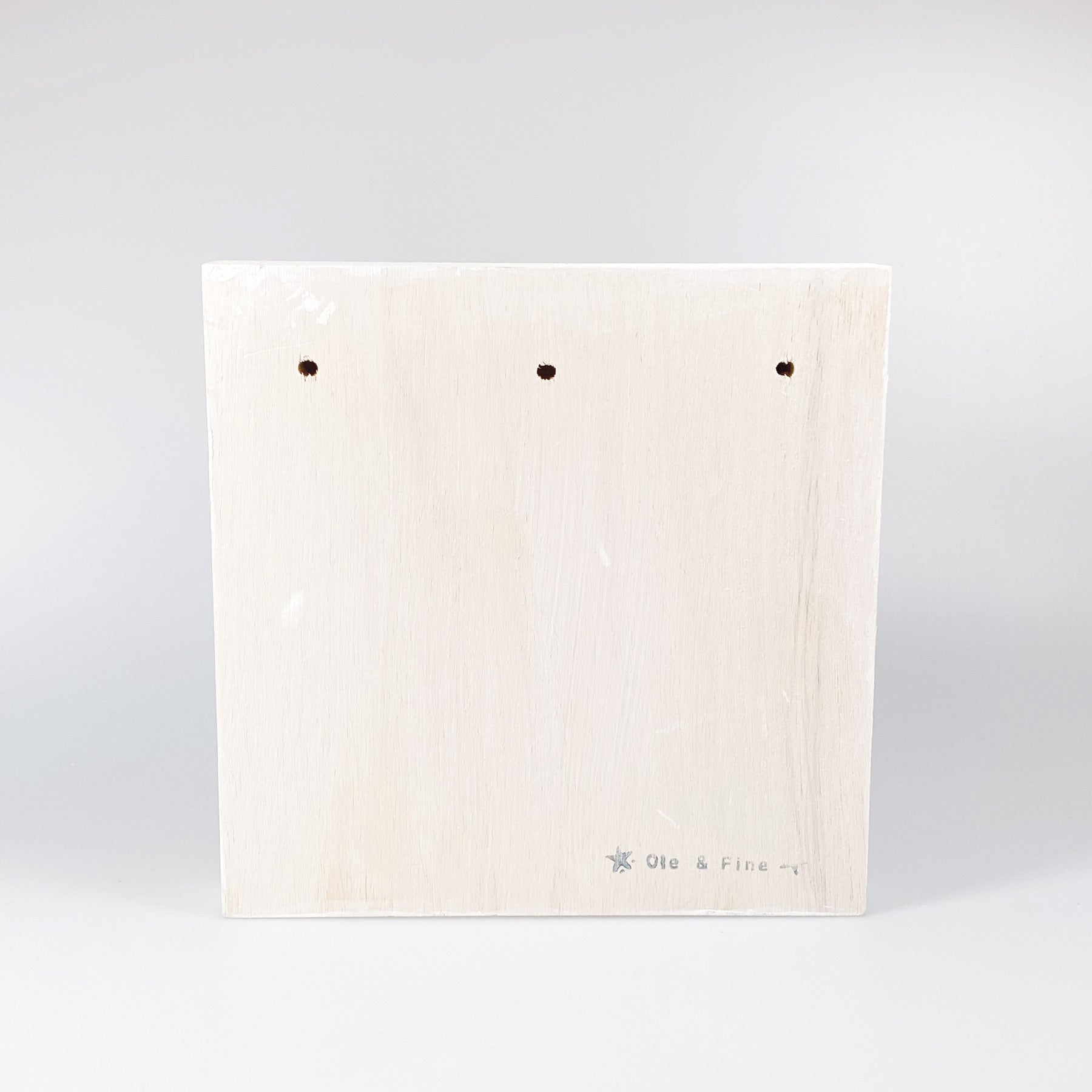 Großes Holzbild "Bicycle" weiß