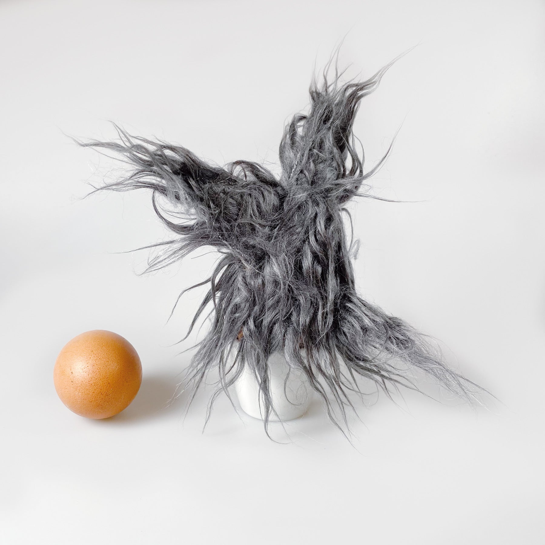 Katzenpaar „Elmo“ und "Snorre" die Eierwärmer