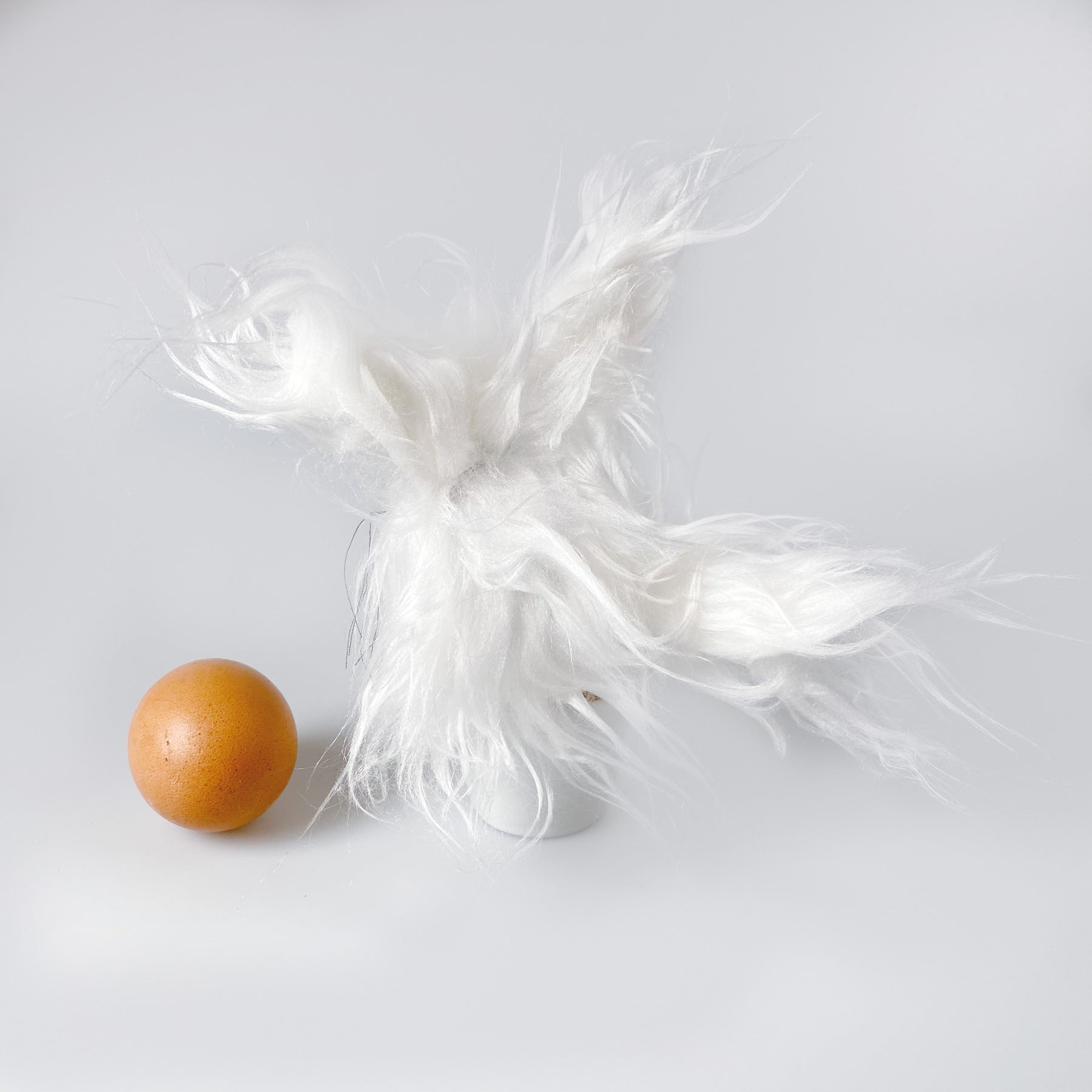 Katzenpaar „Elmo“ und "Snorre" die Eierwärmer